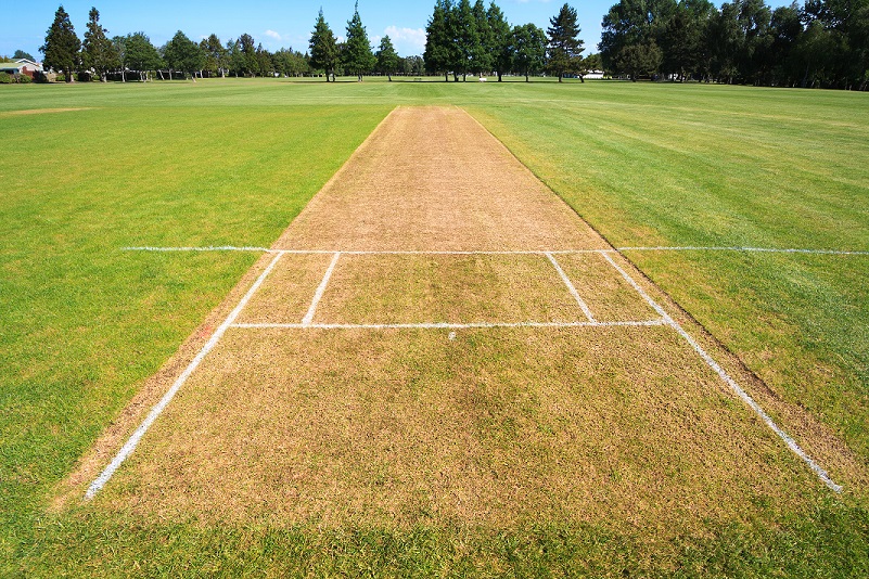 Cricket pitch sport field background • Hunter Recruitment Group